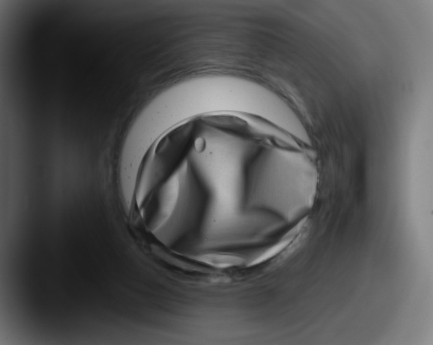 X0000087550162200705181113