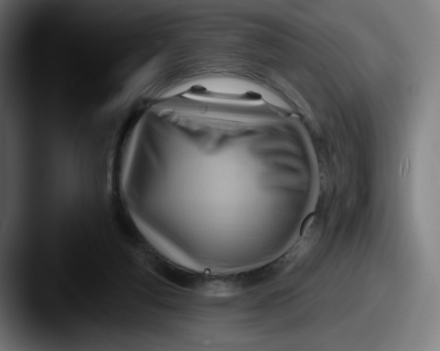 X0000087550163200705181113