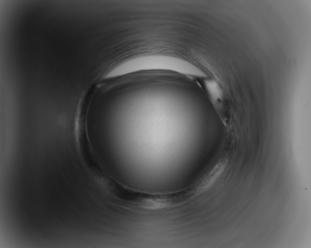 X0000087550164200705181113