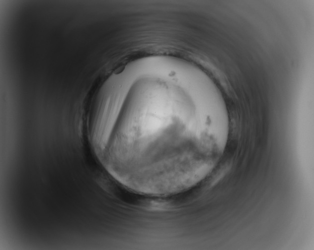 X0000087550165200705181113