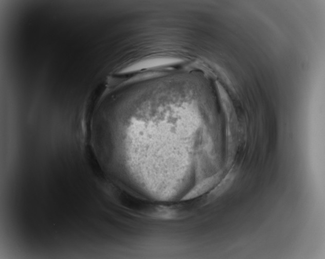 X0000087550166200705181113