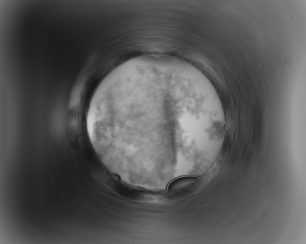 X0000087550167200705181113