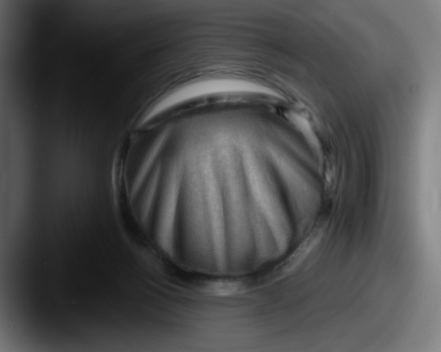 X0000087550168200705181113