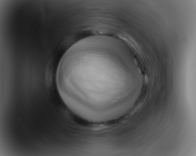 X0000087550169200705181113