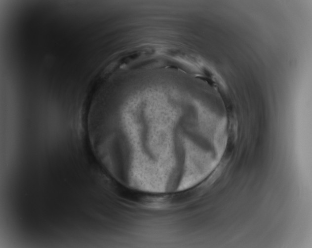 X0000087550170200705181113