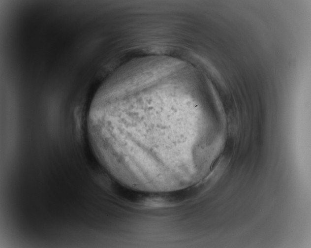 X0000087550171200705181113