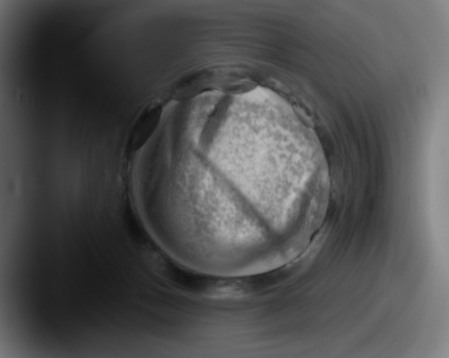 X0000087550175200705181113