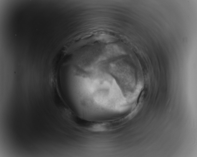 X0000087550178200705181113