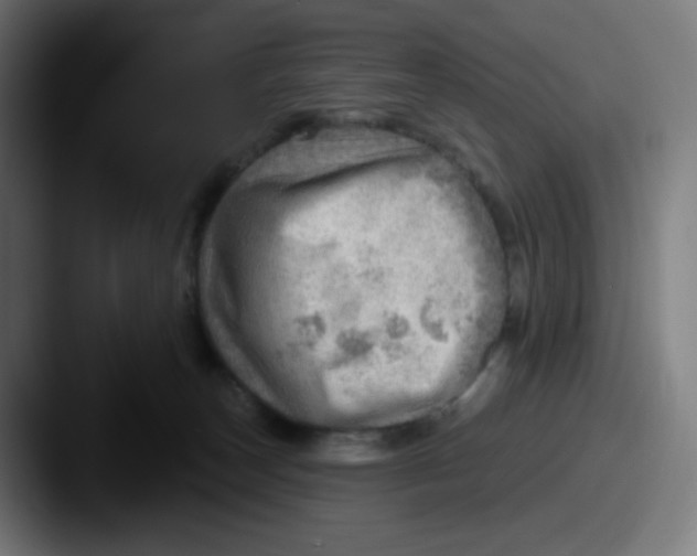 X0000087550179200705181113