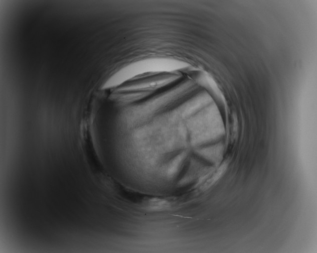 X0000087550180200705181113