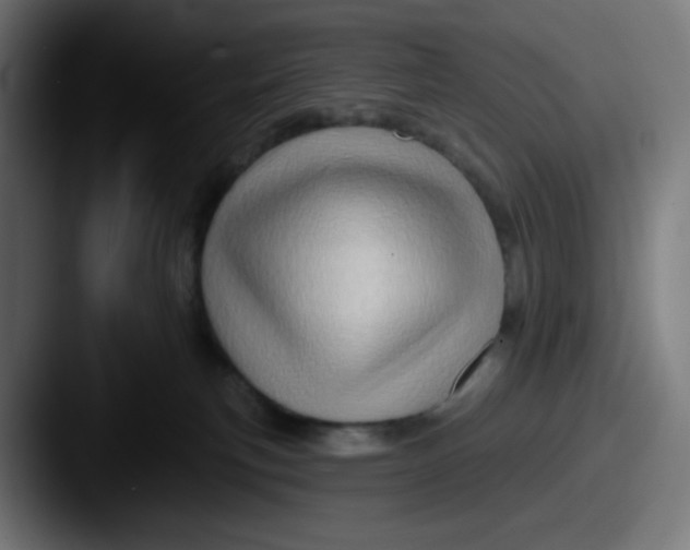 X0000087550183200705181113