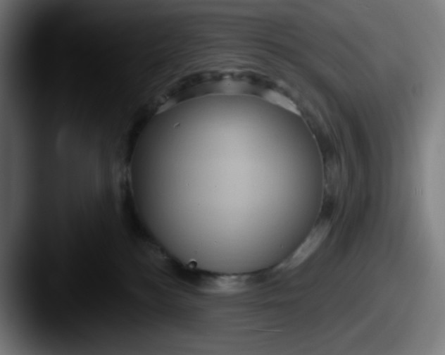 X0000087550184200705181113