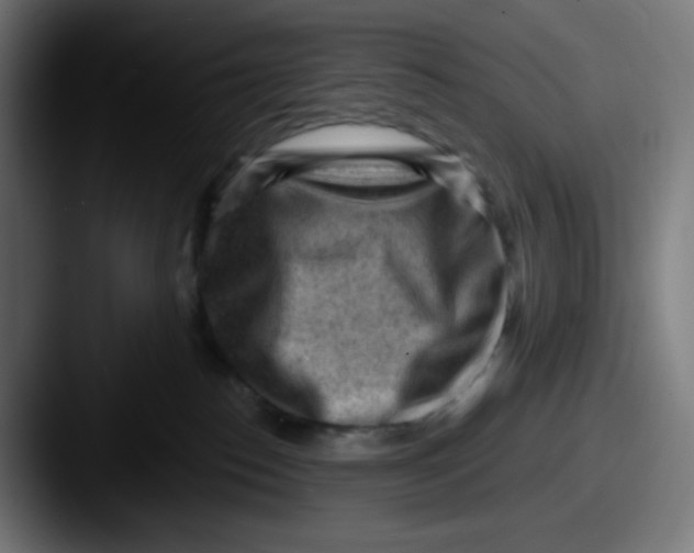 X0000087550186200705181113