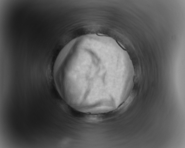 X0000087550187200705181113