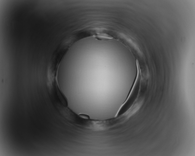 X0000087550188200705181113