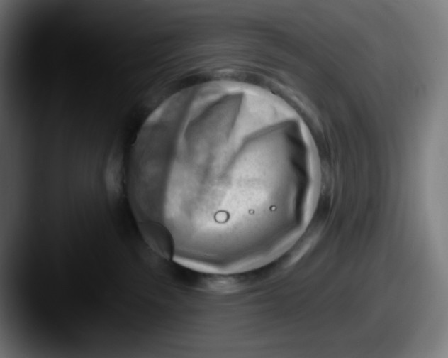 X0000087550189200705181113