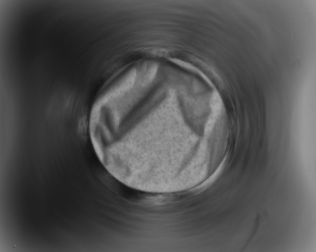 X0000087550190200705181113