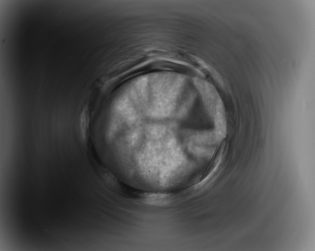 X0000087550192200705181113