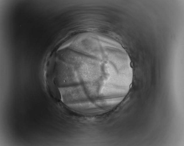 X0000087550194200705181112