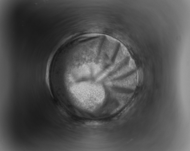 X0000087550195200705181112