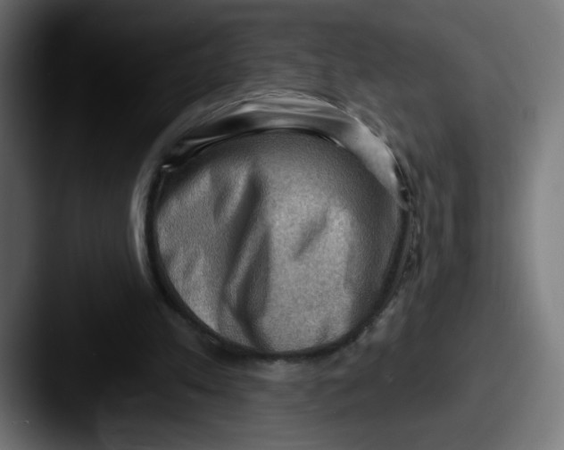 X0000087550197200705181112