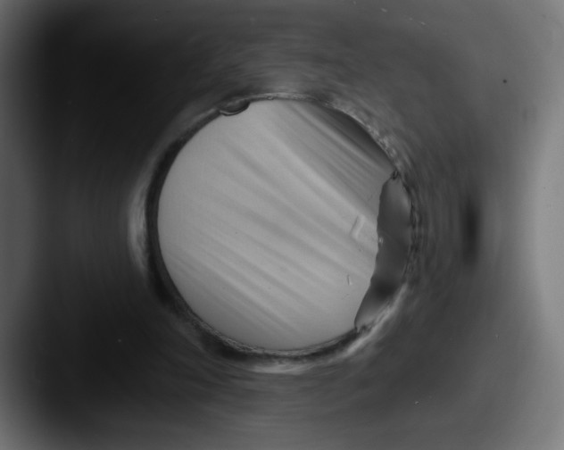 X0000087550198200705181112