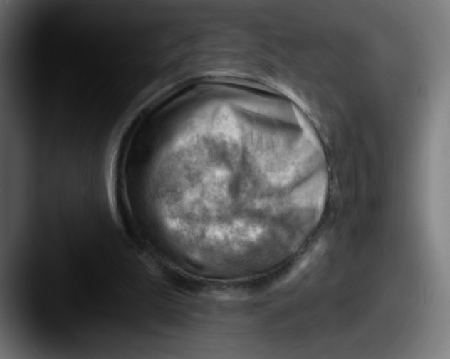 X0000087550199200705181112