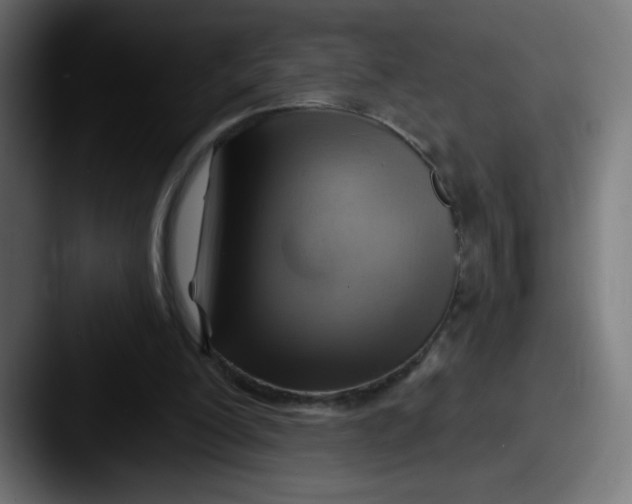 X0000087550200200705181112