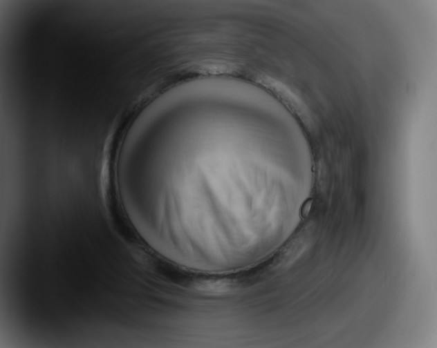 X0000087550202200705181112