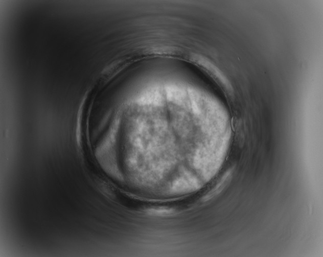 X0000087550203200705181112