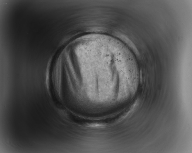 X0000087550204200705181112