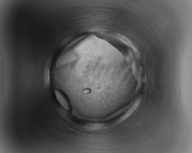 X0000087550205200705181112