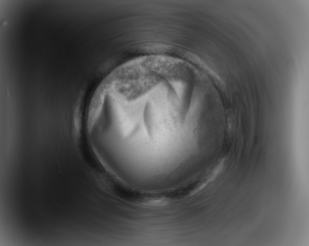 X0000087550206200705181112