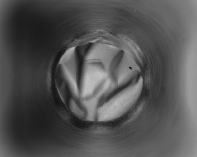 X0000087550207200705181112