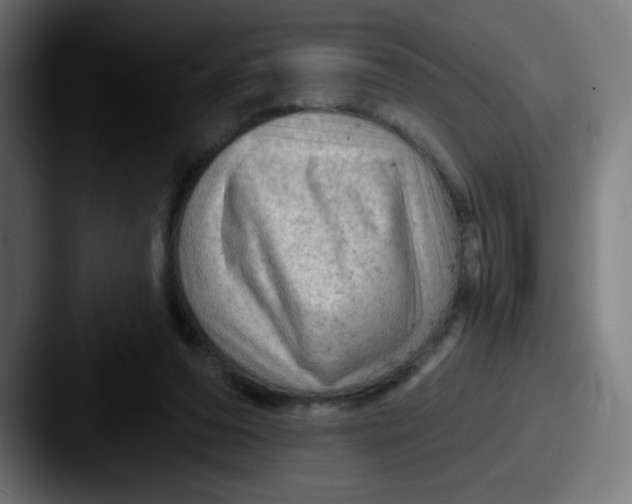 X0000087550208200705181112