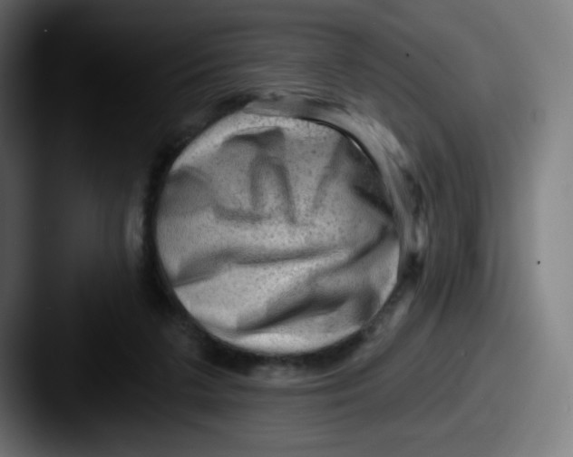 X0000087550211200705181112