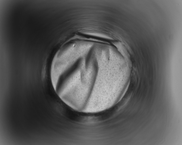 X0000087550212200705181112