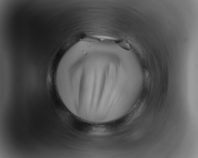 X0000087550214200705181112