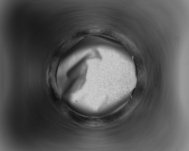 X0000087550215200705181112