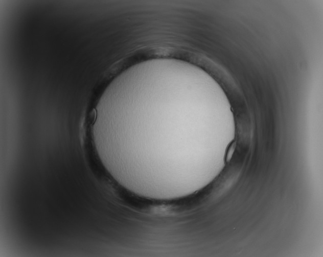 X0000087550216200705181112