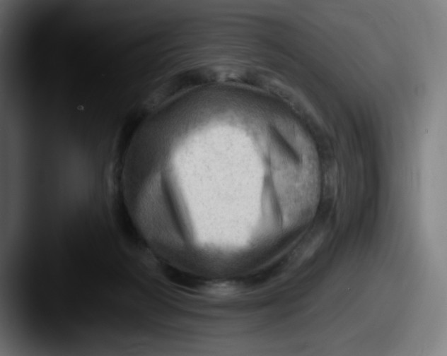 X0000087550218200705181112