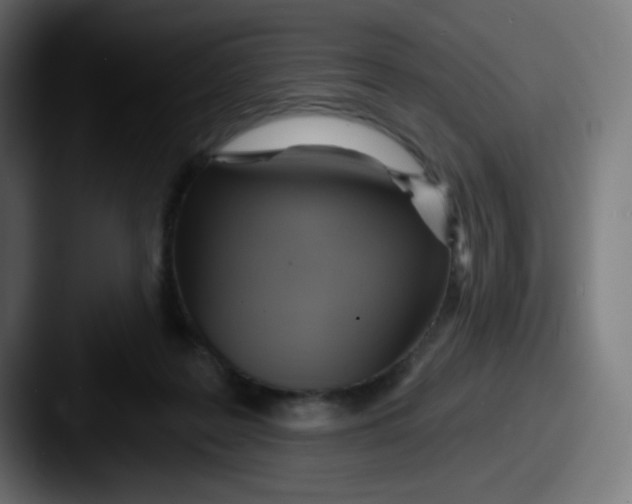 X0000087550219200705181112