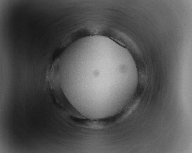 X0000087550221200705181112