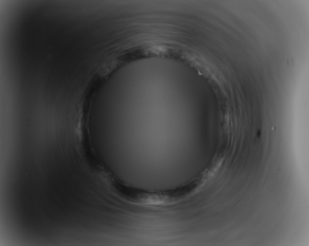 X0000087550223200705181112