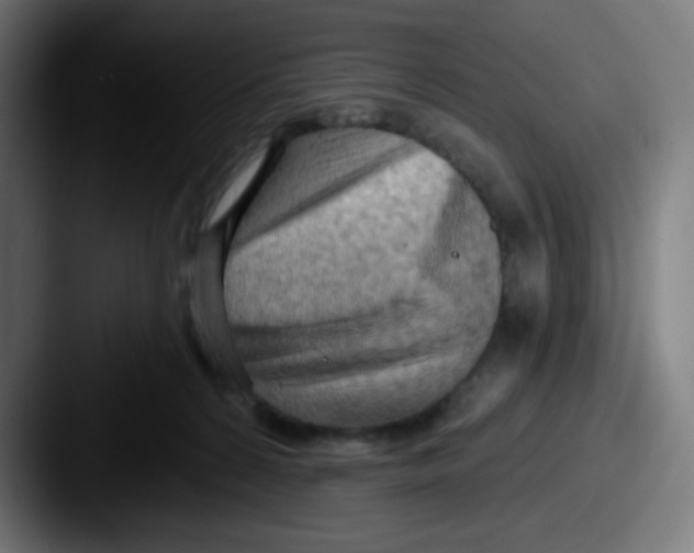 X0000087550224200705181112