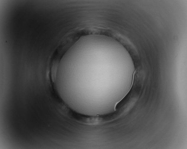 X0000087550225200705181112