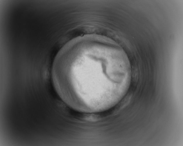 X0000087550226200705181112