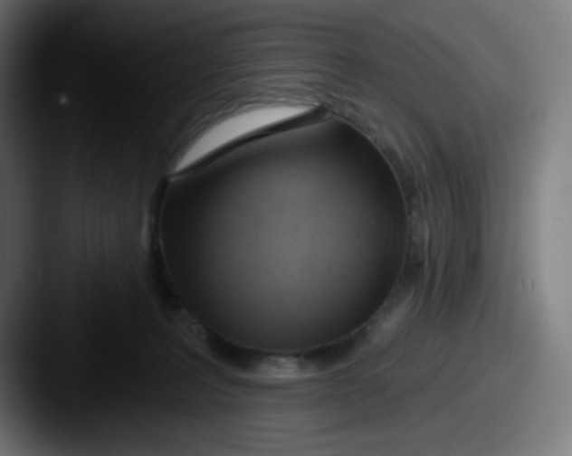 X0000087550227200705181112