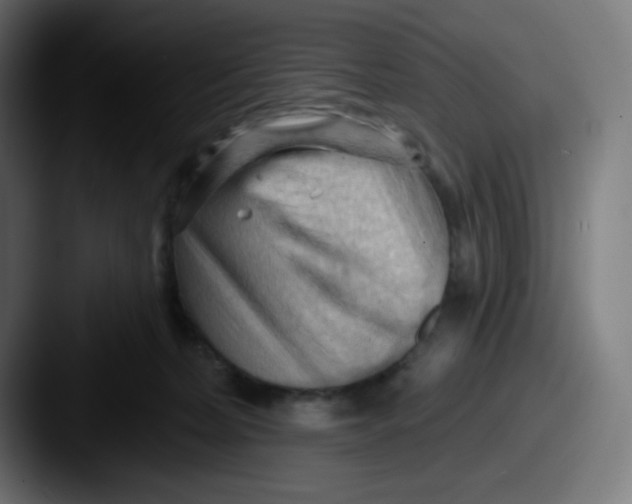 X0000087550228200705181112