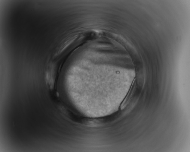 X0000087550229200705181112